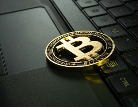 Wallet software per criptovalute: desktop e mobile.