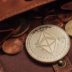 Navigare nel mondo cripto: una guida ai diversi tipi di wallet.